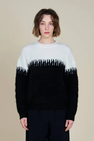 Striking Black and White Sweater