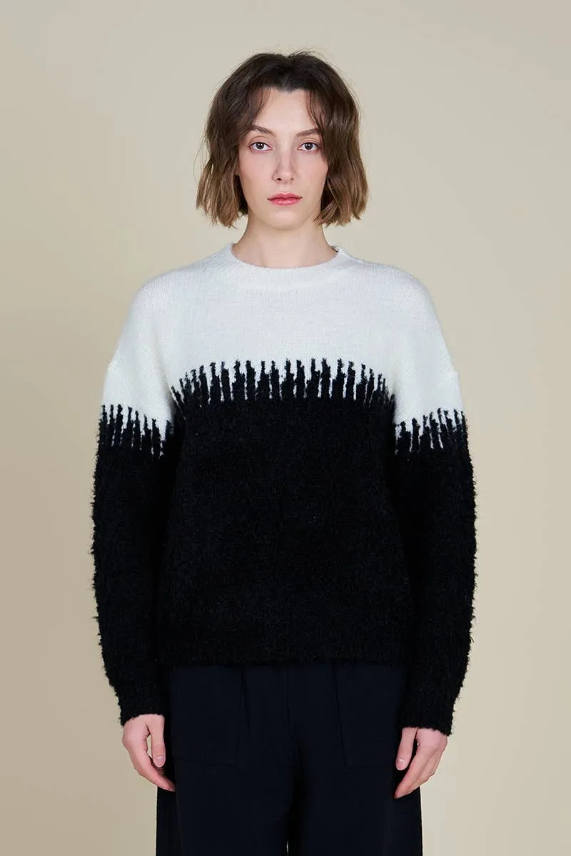 Striking Black and White Sweater